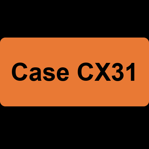 Case CX31